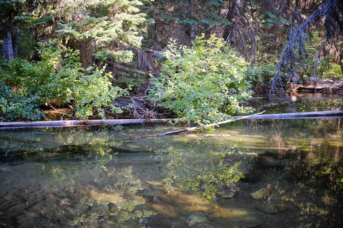 enchantments-5 — Enchantments