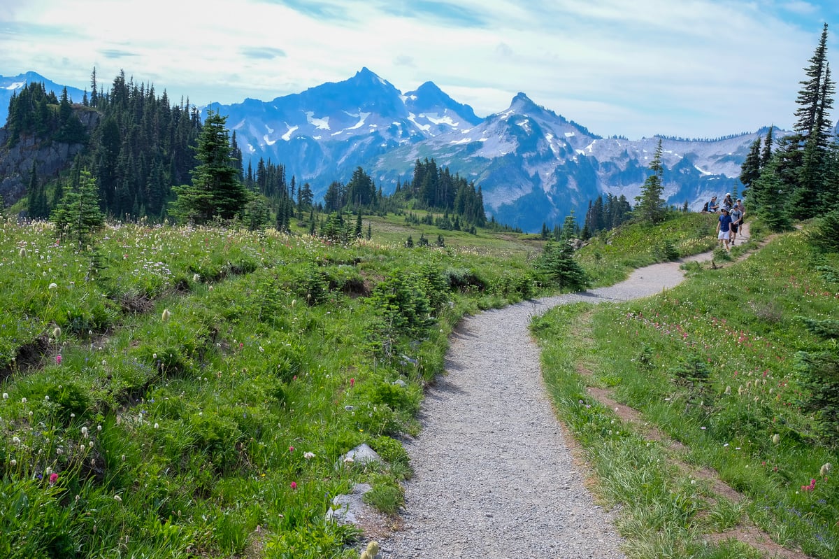 rainier-7 — Rainier