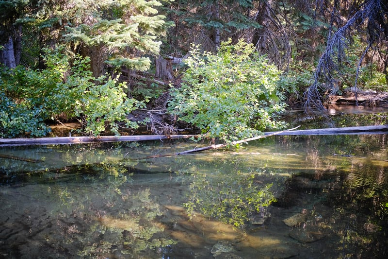 enchantments-5 — Enchantments
