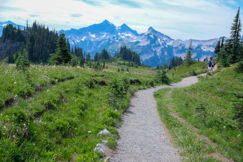 rainier-7 — Rainier