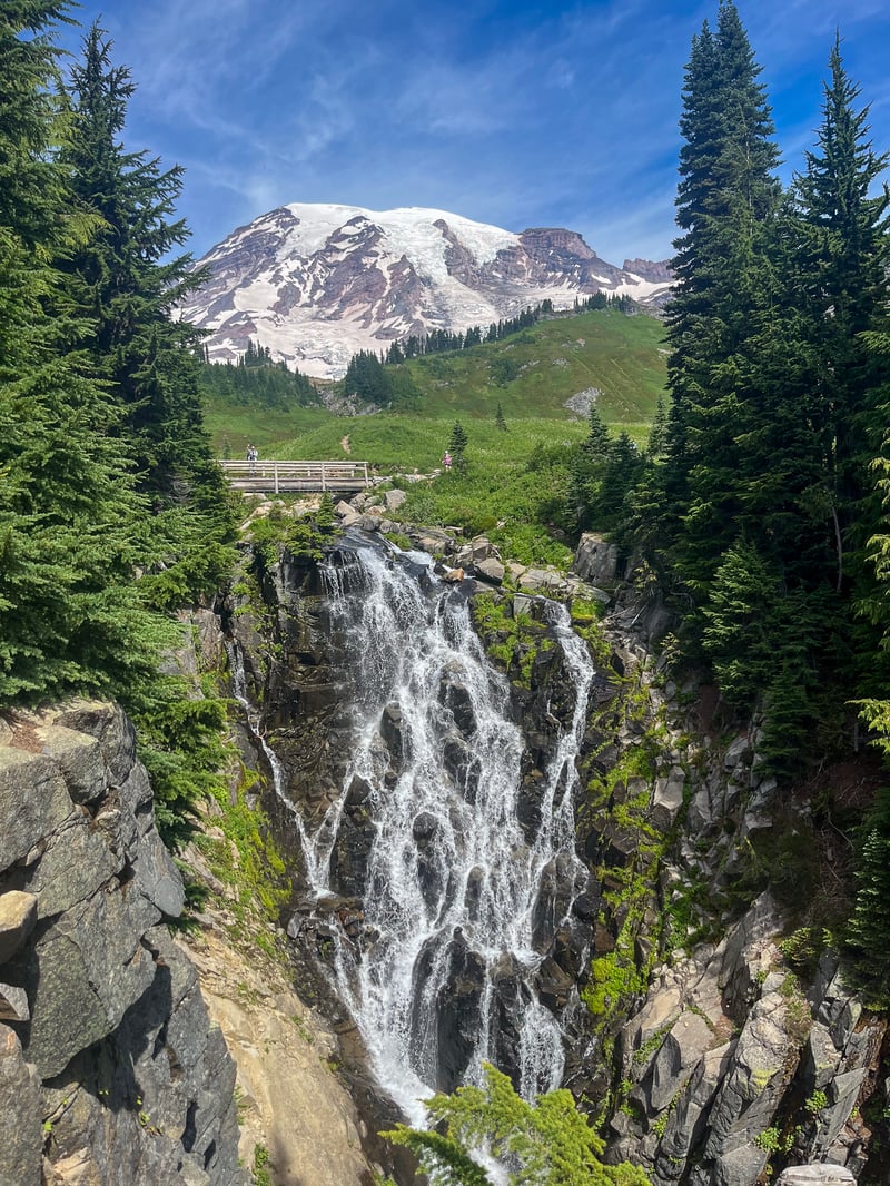 rainier-8 — Rainier